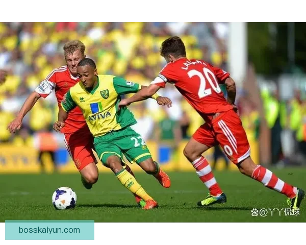 南安普顿近期比赛节奏提升，表现稳健值得关注